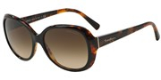 Giorgio Armani 0AR8047-504913