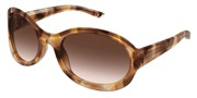 Gucci GG2012S-016
