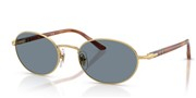 Persol 0PO1018S-113256