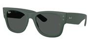 購入またはモデルの画像を拡大 Ray Ban 0RB4840S-665787.