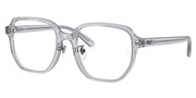 Ray Ban 0RX5424D-8415
