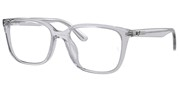 Ray Ban 0RX7248D-8411