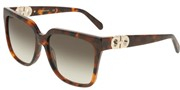 Salvatore Ferragamo SF2109S-240