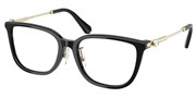 Swarovski Eyewear 0SK2041D-1001