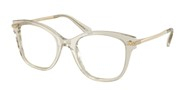 購入またはモデルの画像を拡大 Swarovski Eyewear 0SK2044-3003.