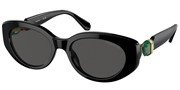 Swarovski Eyewear 0SK6002-100187