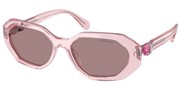 Swarovski Eyewear 0SK6028-30017N