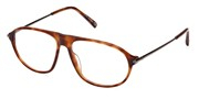 購入またはモデルの画像を拡大 Tods Eyewear TO5285-053.